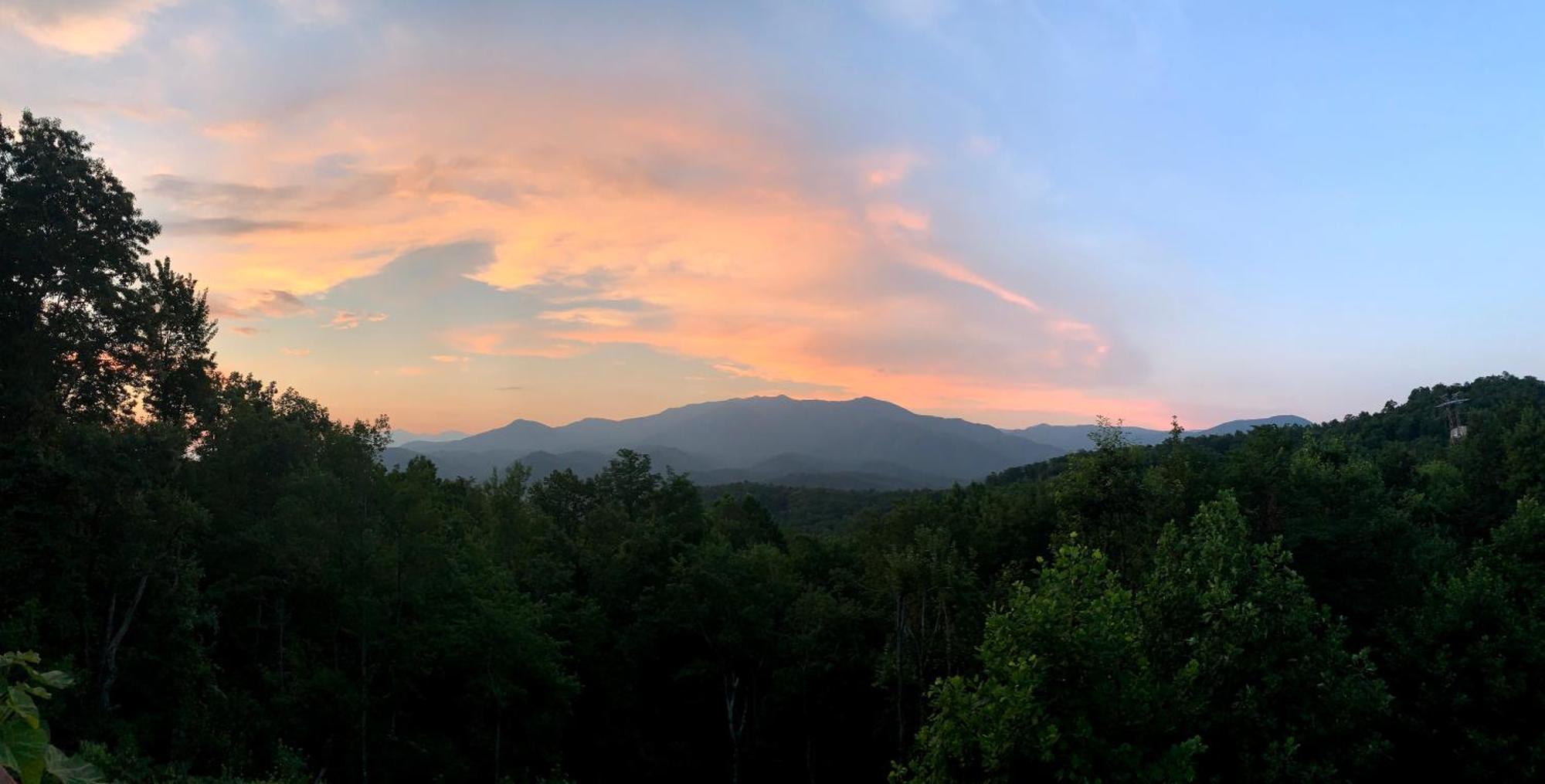 Heavenly View - Bear Themed Cabin, Hottub, Dog-Friendly, Near גטלינבורג מראה חיצוני תמונה